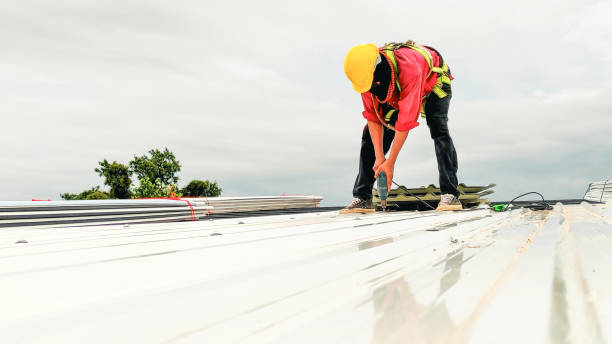 Best Rubber Roofing (EPDM, TPO)  in Dewitt, MI