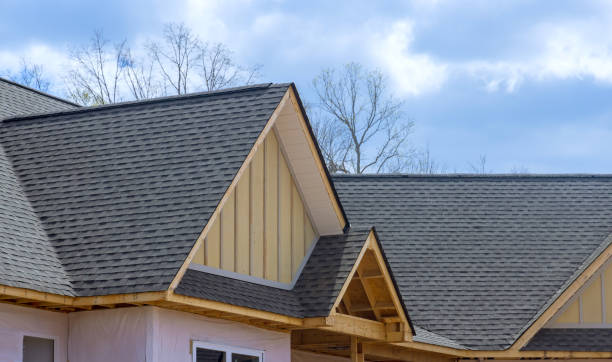 Best Sheet Metal Roofing  in Dewitt, MI