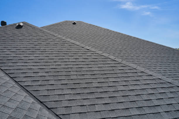 Best Roof Inspection  in Dewitt, MI
