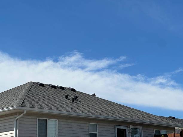 Asphalt Shingles Roofing in Dewitt, MI